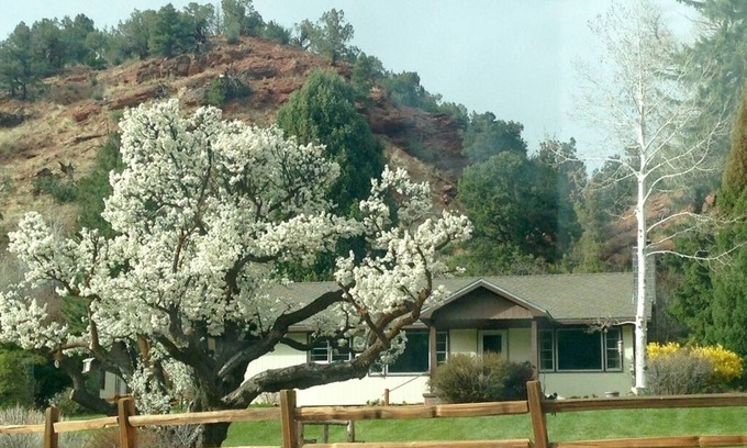 New Castle House | Family/Lrg Groups/King Bed/420/Hike/Bike/Ski/Raft/Firepit/Mountain Views