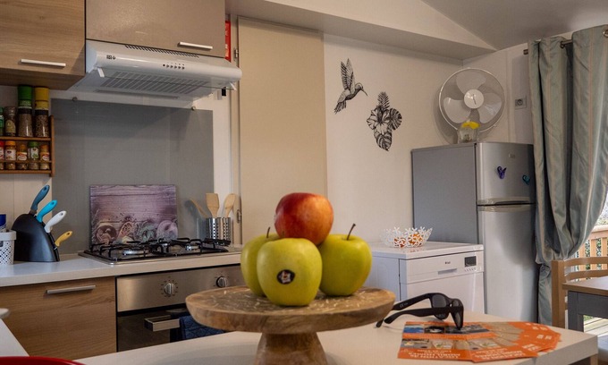 Coulanges House | FAMILY MOBILHOME 6/8 pers COMFORTABLE AND AIR CONDITIONED