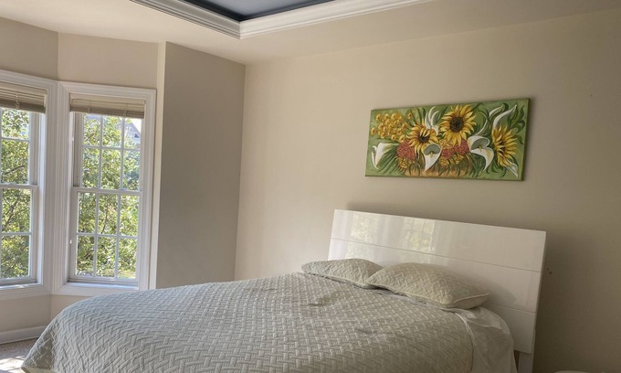 Gaithersburg House | Family or group. Comfortable, modern house with garage, balcony, gym, pool.