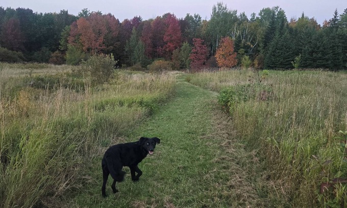 Aroostook Other | Family/pet-friendly home on working farm. Country setting, yet close to town!