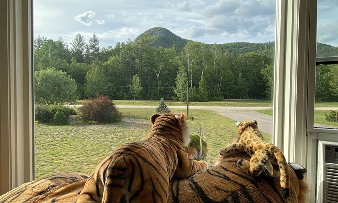 Bartlett House | Family Waterfront Haven on the Saco River, Private Road, Hiking, Outdoor Fun