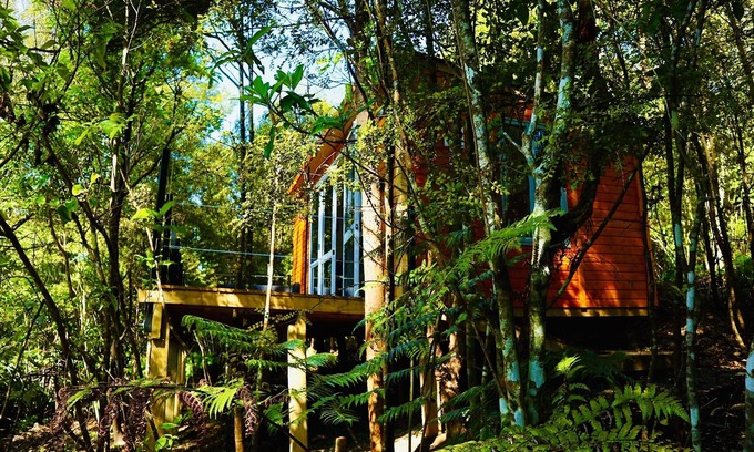 Wainui Ski Chalet | Fantail Bush Chalet, bush and golf on your doorstep!