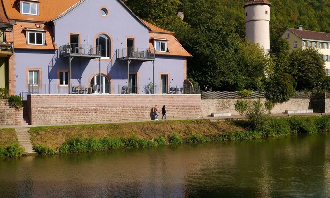 Wertheim Apartment | Fantastic apartments with a sun terrace directly on the shores Tauber
