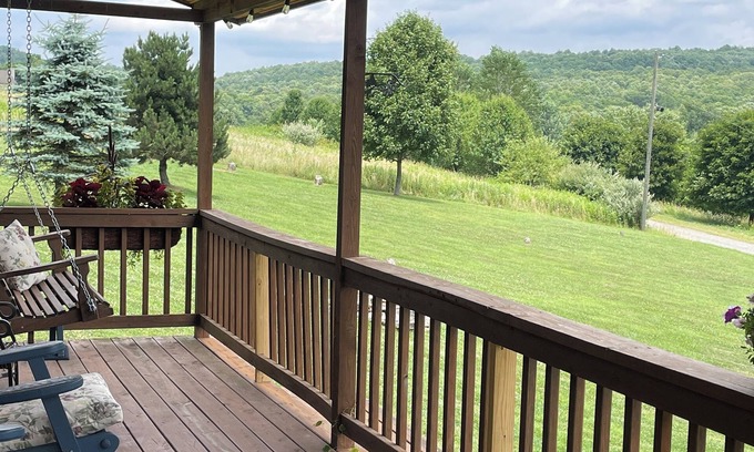 Bruceton Mills Cabin | Fantastic Cabin! Mountain Views King Bed Fast Wifi Veteran Owned