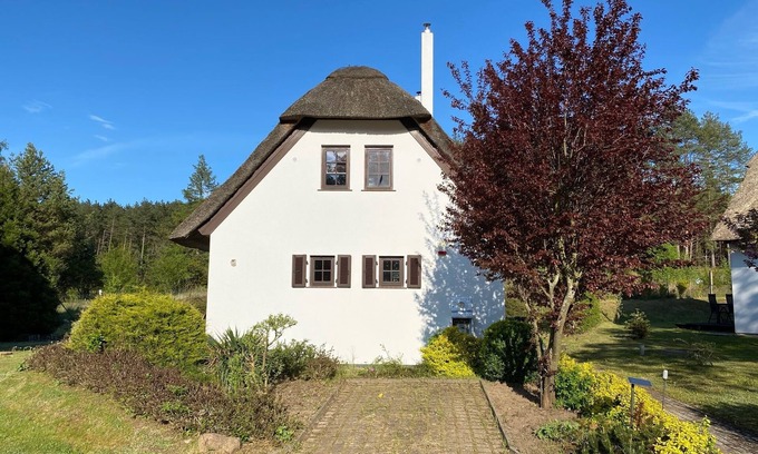 Wiselka House | Fantastic thatched house on the edge of the forest
