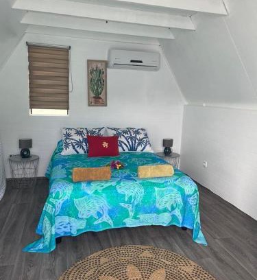 Pihaena Ski Chalet | Fare Honu Vaihere