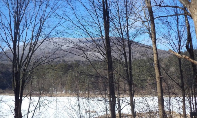 Arlington House | Farm Barn Adjacent Wildlife Preserve w/Fantastic Views