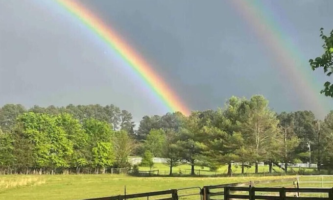 Pittsboro Apartment | Farm House Garden Apartment, peaceful vibe and views.