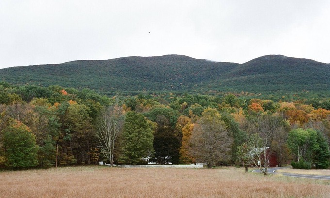 Town of Olive House | Farm House