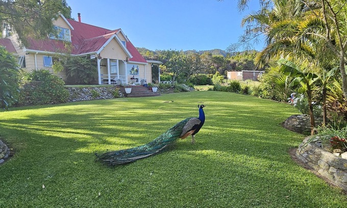 Pakawau Other | Farm house with sea views & native bush, fishing, kayaking, bird lovers haven.