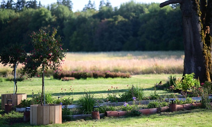 Cornelius Other | Farm Pottery House in 84 acres Land in Cornelius/Hillsboro