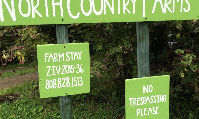 Kilauea House | Farm Stay Cottage on Organic Farm