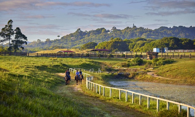 Kuranda Cabin | Farm Stay! Fun activities for the whole family-35 minutes from Cairns CBD