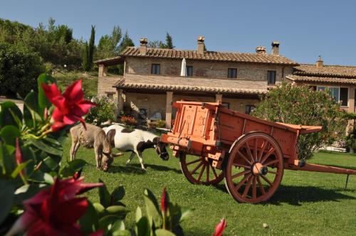 Collevalenza House | Farm stay Il Carro del Colle