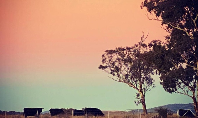 O'connell House | Farm Stay near Bathurst with a Magical View