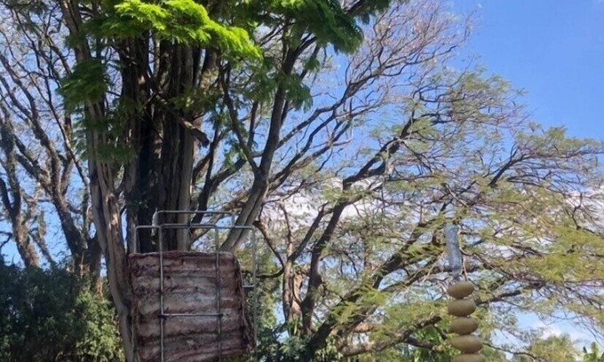 Interior de Sao Paulo House | Farm with Pool in Boituva /Porto Feliz