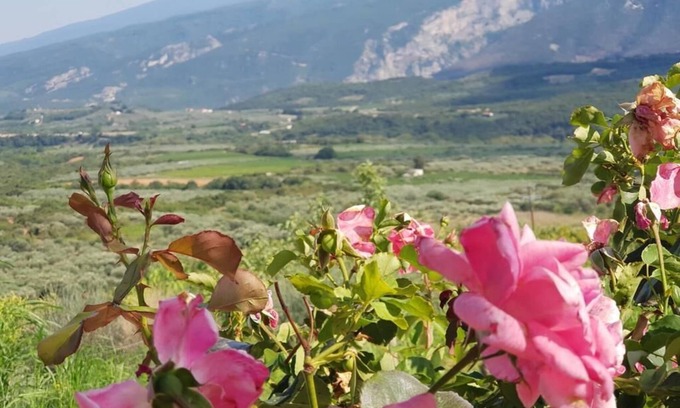 Tempi Other | Farma Tsalta live the experience on the Mount "OLYMPUS"