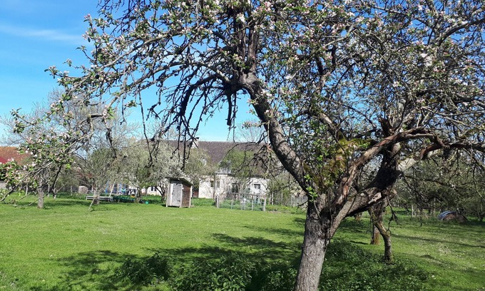 Neuville-les-Decize Other | Farmhouse, animals, nature and terroir
