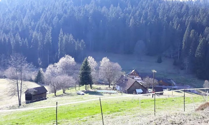 Erzgrube Other | Farmhouse Black Forest Seewald 100% nature bathing lake