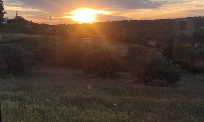 Torrao Other | Farmhouse Casa TORRAMO in Olives Fruits Trees on National 2. Alentejo. 13750 sqm
