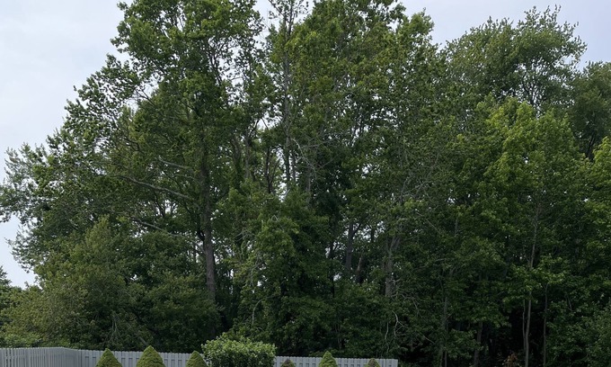 Green Creek Other | Farmhouse, close to all Wildwood and Cape May Boardwalks. unlimited parking.