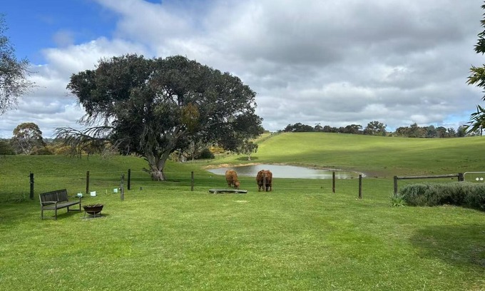 Bridgewater Other | Farmhouse with 4 bedrooms and WiFi, AC in awesome Bridgewater