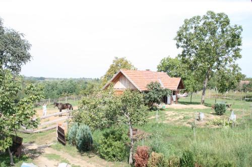 Durdevac House | Farmica, Bed&Breakfast, Bazen izdvojen nekoliko minuta hoda