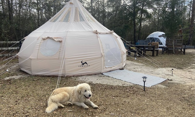 Tallahassee RV Rental | Farmstay Glamping AGRItourism retreat-HERSHEYS HUT-cows, chicks, goat, minihorse