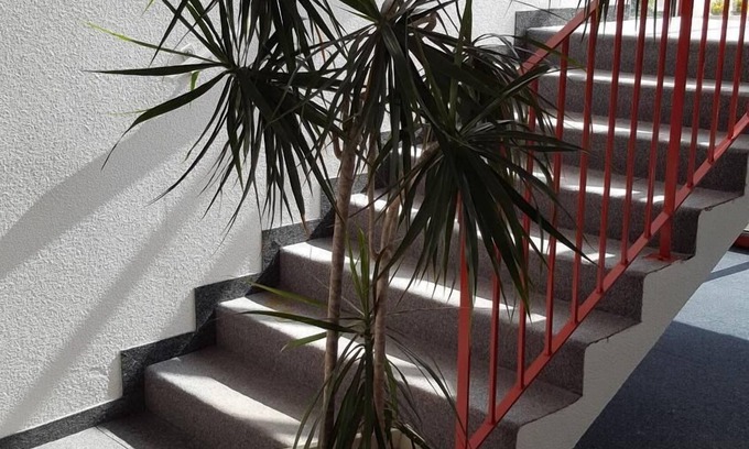 Semeac Hotel | Fasthotel Tarbes