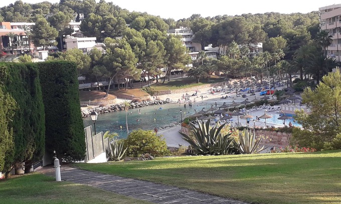 Cala Vinas Apartment | Favorite place in Mallorca, garden saltwater pool and direct sea access