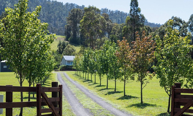 Kangaroo Valley House | "FERDOUS" - A Peaceful Hideaway in Kangaroo Valley, NSW