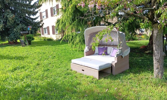Ingersheim Other | Ferien auf dem Winzerhof