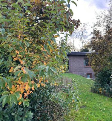 Wildeshausen Apartment | Ferien ind Monteur Wohnung Maiglöckchen mit 2 Schlafzimmern