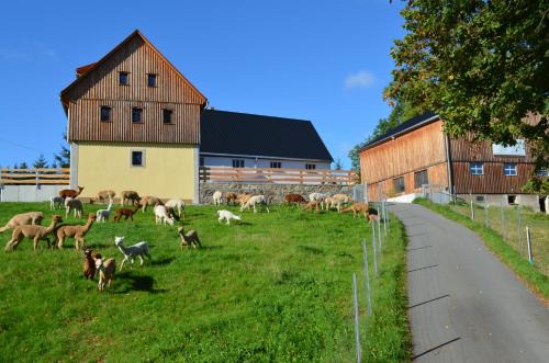 Frauenstein House | Ferienhaus Alpaka Glück