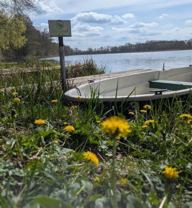 Mustin House | Ferienhaus am See mit Ruderboot
