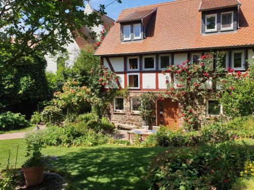 Munzenberg House | Ferienhaus Burgblick