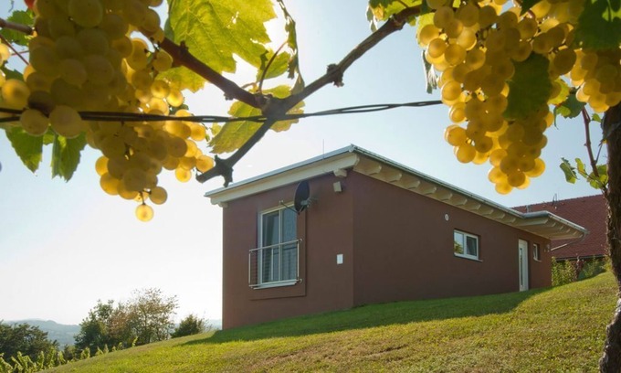 Johnsdorf-Brunn Other | Ferienhaus "das Nussberg" - ab 4 Nächte - Ferienhäuser im Weingarten