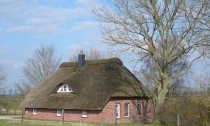 Stadland House | Ferienhaus für 4 Gäste mit 80m² in Augustgroden