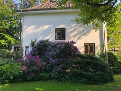 Hodenhagen House | Ferienhaus Hudemühlen