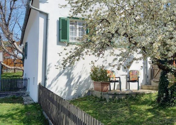 Ilz House | Ferienhaus im Thermenland (Loipersdorf, Blumau)