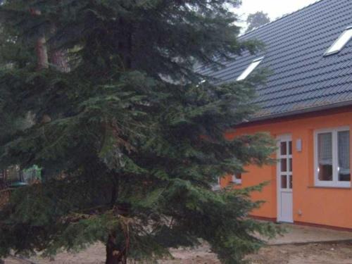 Guestrow Apartment | Ferienhaus Jägerswalde