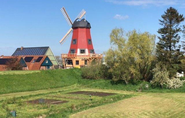 Beidenfleth House | Ferienhaus Mühle "Neue Hoffnung"
