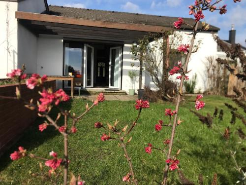 Breitenbrunn House | Ferienhaus Seeblick