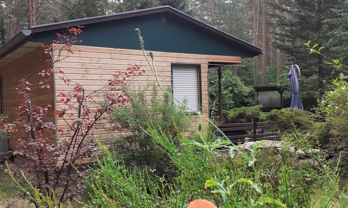 Busendorf House | Ferienhaus Waldoase für 2 - 3 Personen, Freistehend auf Eingezäuntem Grundstück
