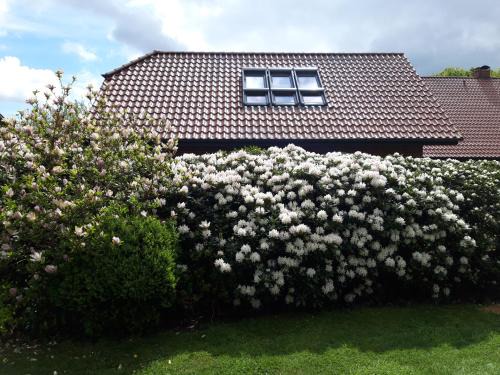 Barssel Apartment | Ferienhof Kleemann