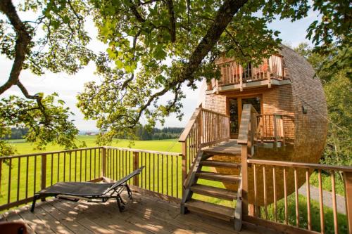 Betzigau Apartment | Ferienhof und Baumhaushotel