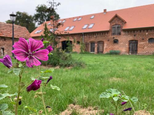 Letschin Apartment | Ferienhof Weitblick