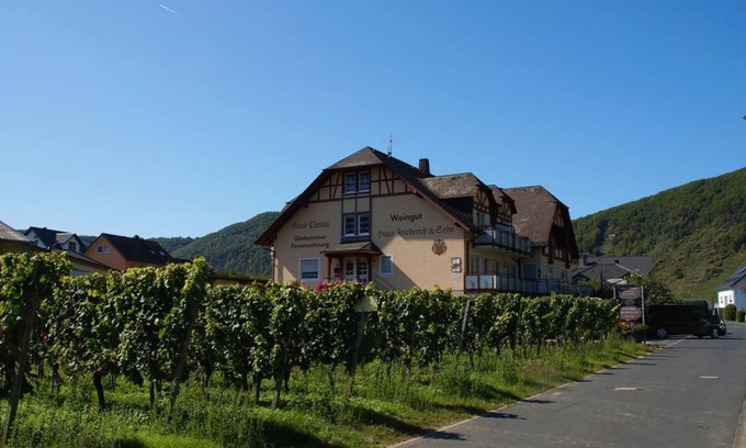 Briedern Apartment | Ferienweingut Hugo Friederich & Sohn - double room