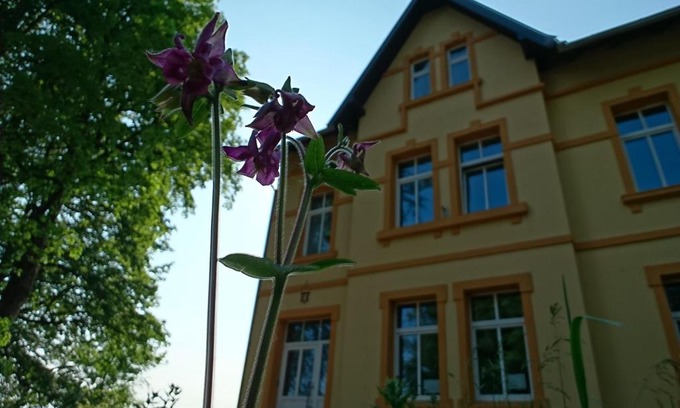 Neustadt am Rennsteig Apartment | Ferienwohnung Forsthaus