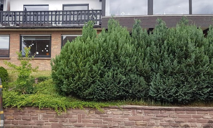 Witzenhausen Apartment | Ferienwohnung "Am Johannisberg"